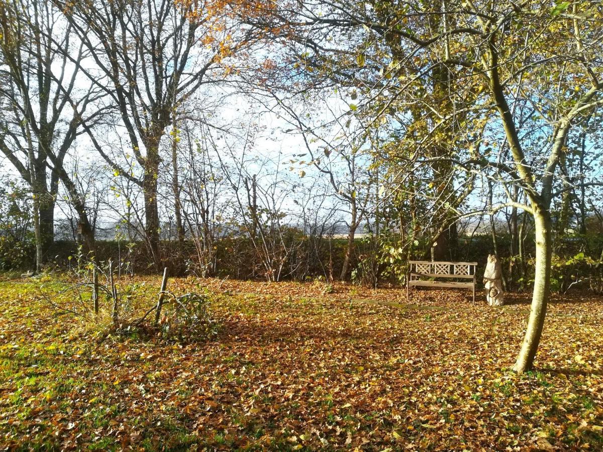 Vegawagen Psyche, Een Sprookje In Coevorden Exterior photo
