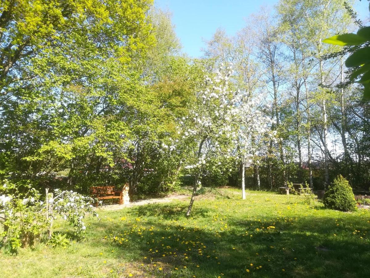 Vegawagen Psyche, Een Sprookje In Coevorden Exterior photo