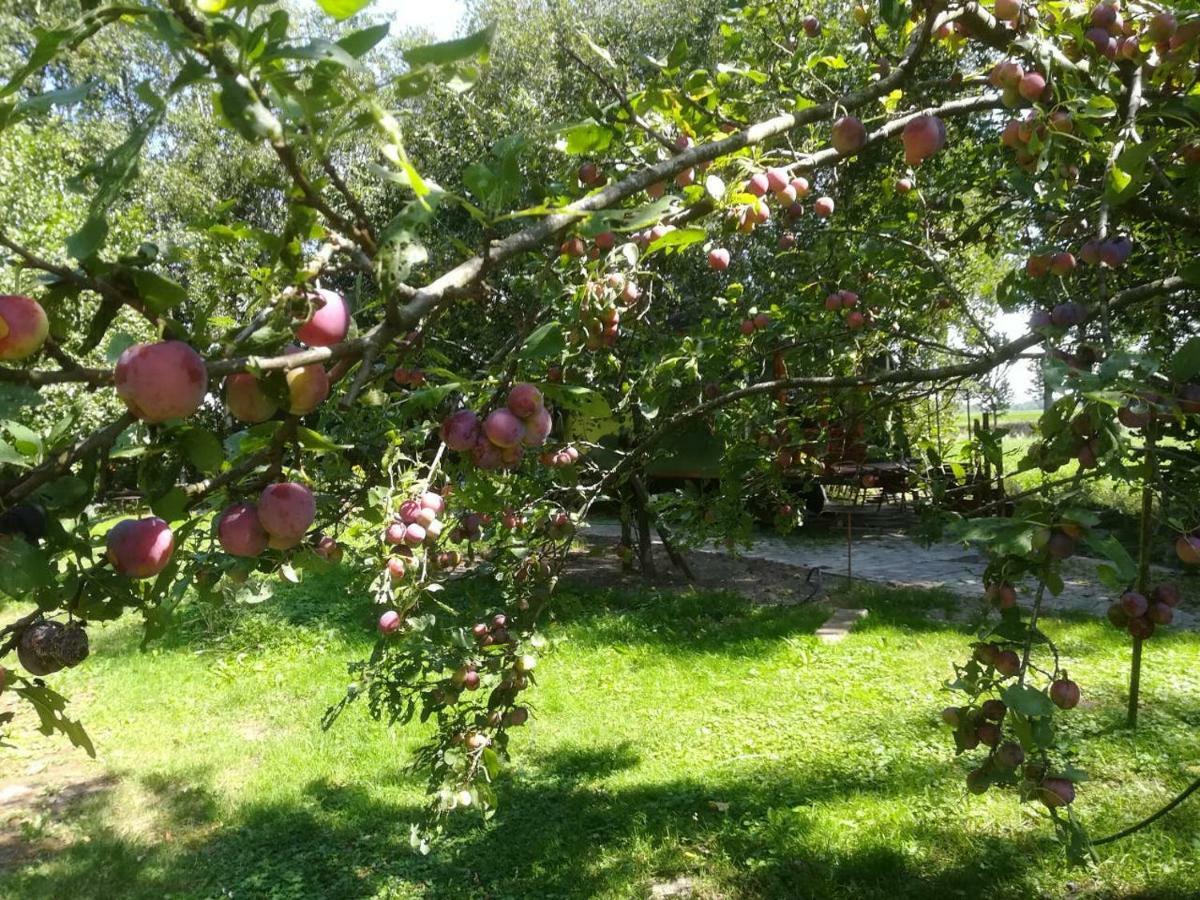 Vegawagen Psyche, Een Sprookje In Coevorden Exterior photo